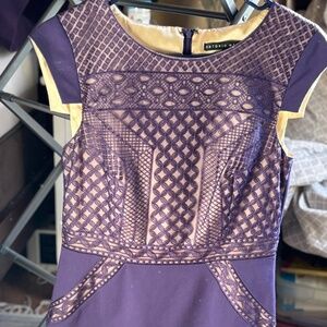 Antonio Melani Purple Lace Overlay Sheath Dress Size 4